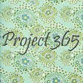 Project 365 2010