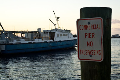 Commercial Pier