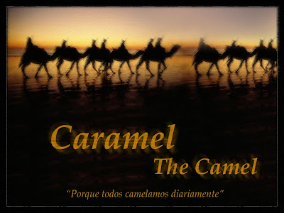 Caramel, The Camel