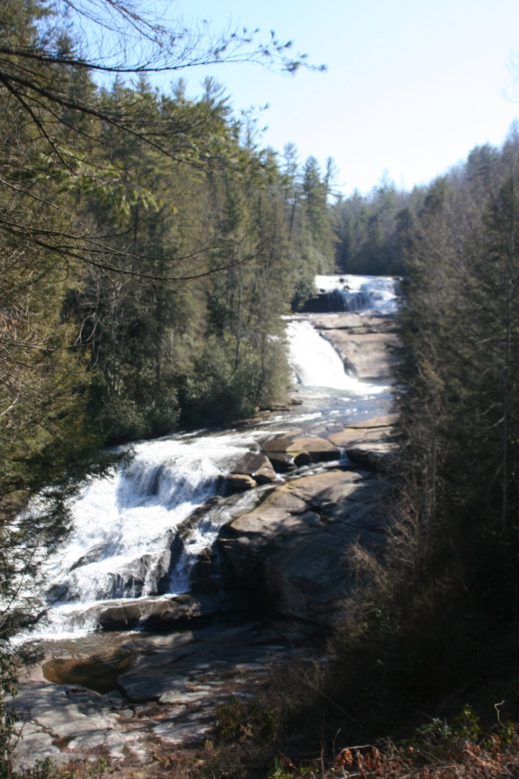 [IMG_2318.JPG]