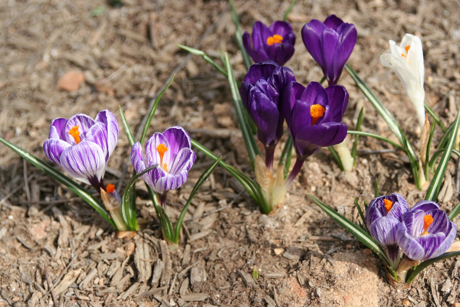 [IMG_4195.JPG]