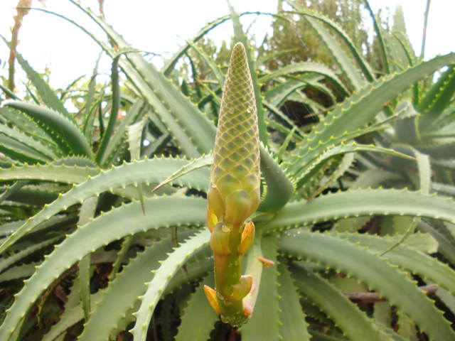 [DSC00756.JPG]