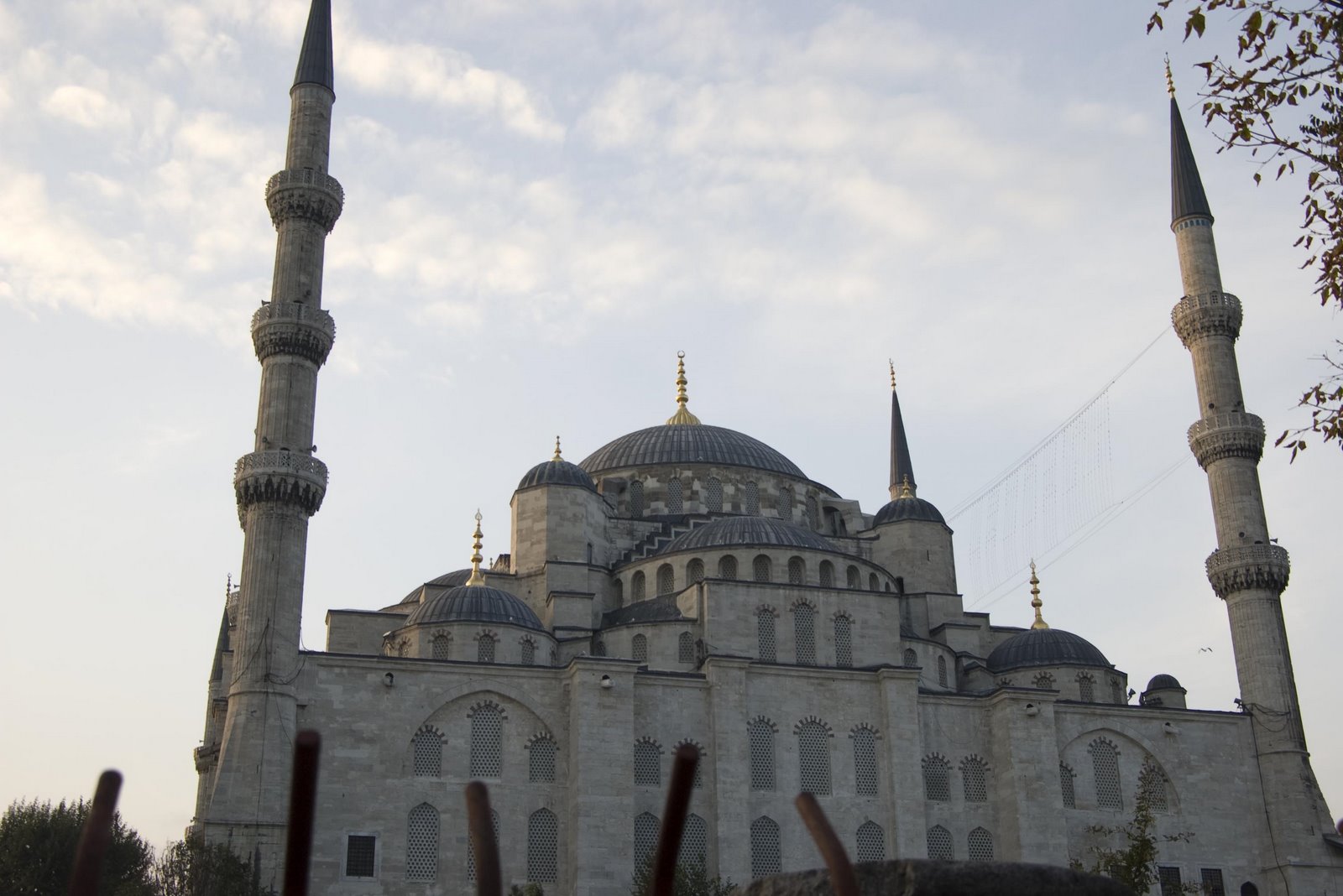 [20071008-IMGP6588.JPG]