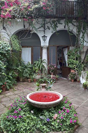 [priscilla_monge.jpeg]