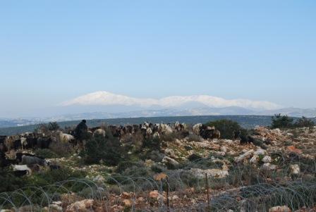 [montanhas_com_neve.JPG]