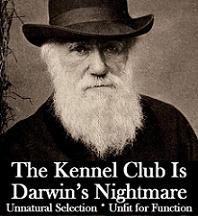[DarwinDogfinal200.jpg]