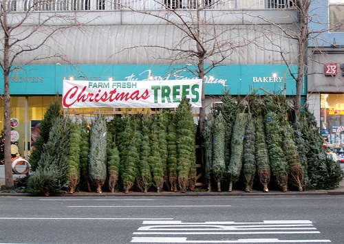 The Bower Reuse and Repair Centre: Instructable Christmas