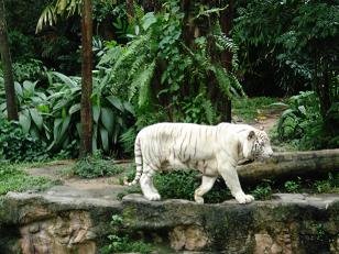 [DSC01018.JPG]