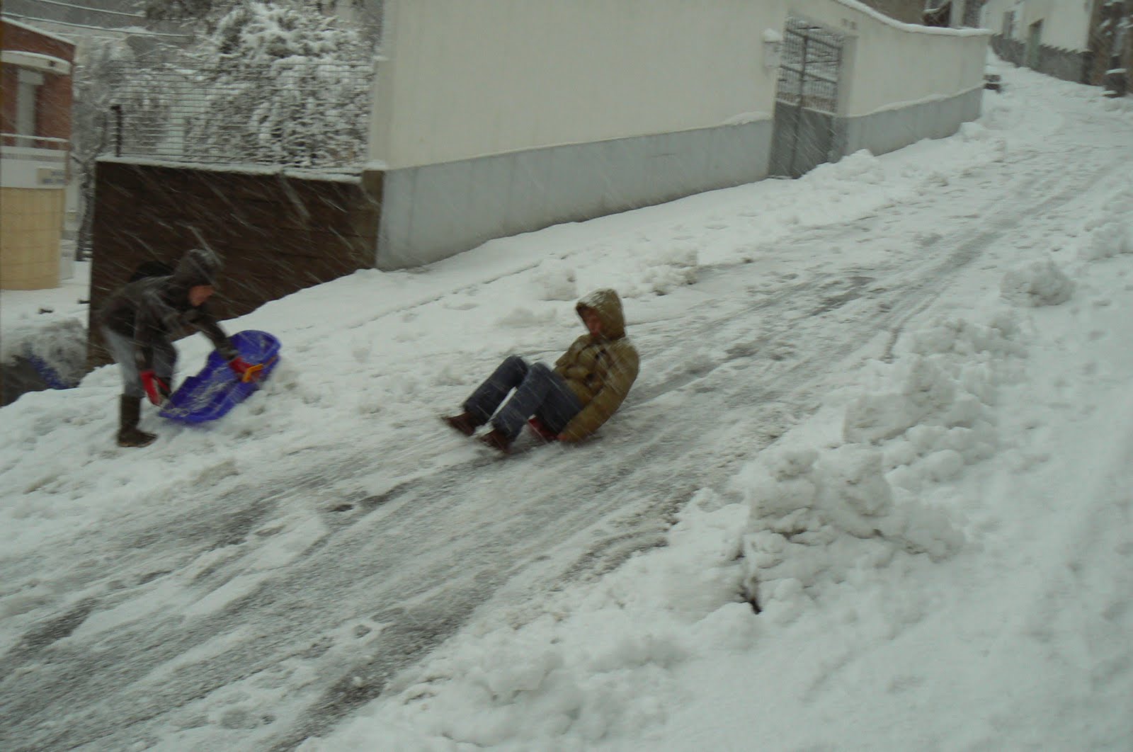 [P1120121.JPG]