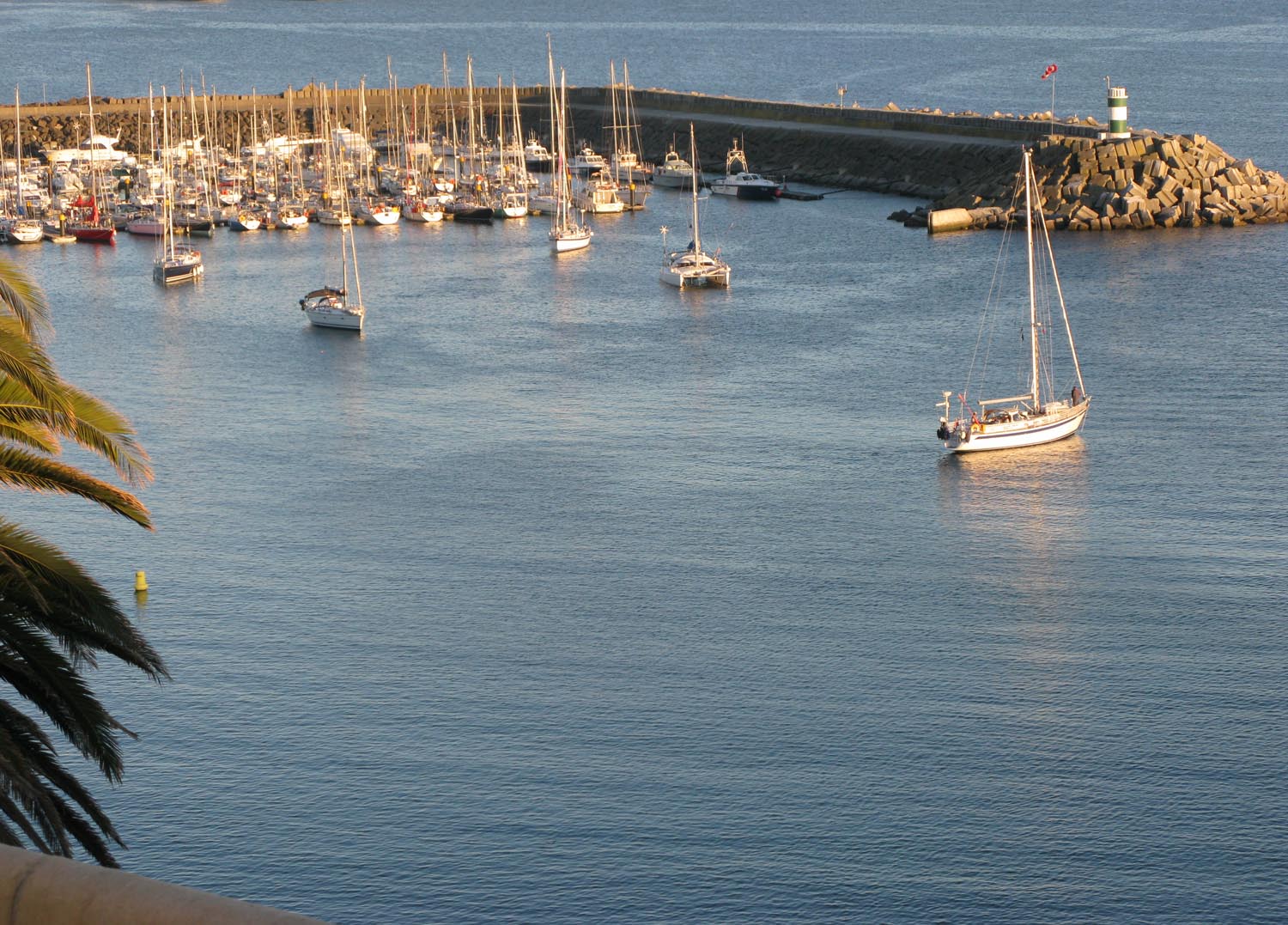 Thames Nature Notes I've been in Sines, Portugal at its World Music