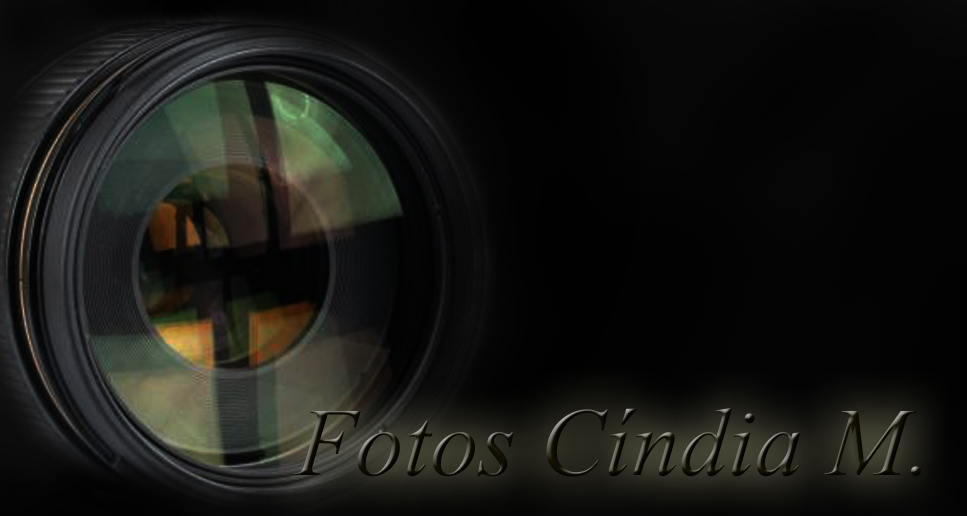 Cíndia M. Fotógrafa