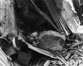 V Eltenbummler Vegan Verreisen Latest Snapshot Chan 14261928