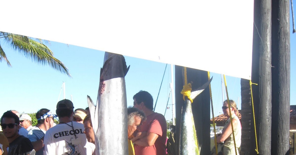 Living Barra de Navidad XXXVI International Fishing Tournament Sail