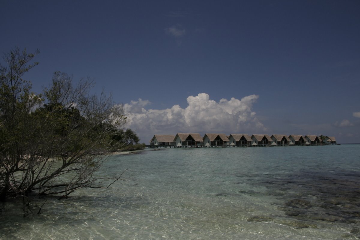 [_MG_1633.JPG]