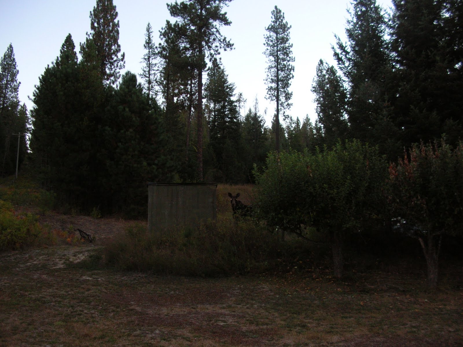 [DSCN0475.JPG]