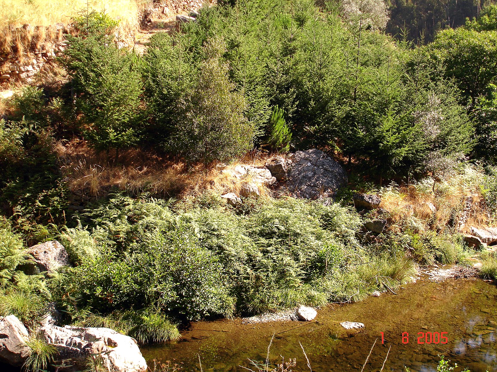 [DSC00454.JPG]