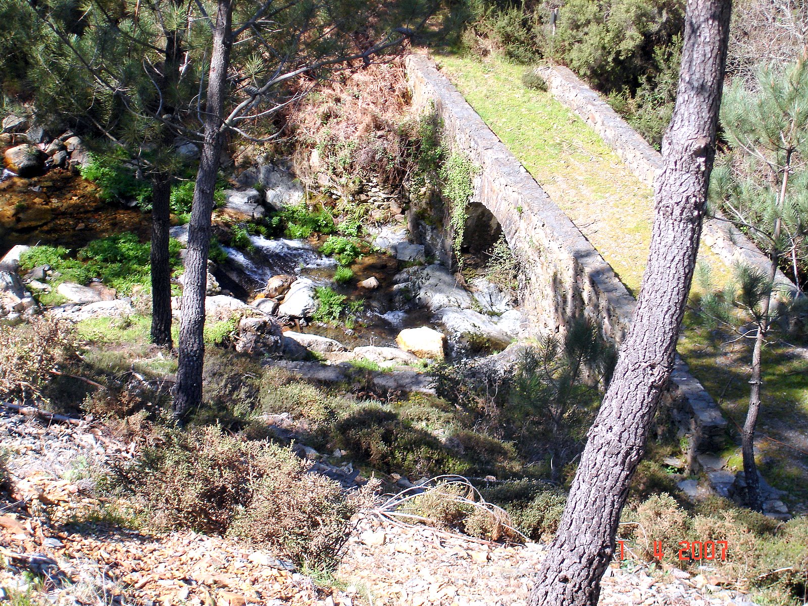 [DSC01713.JPG]