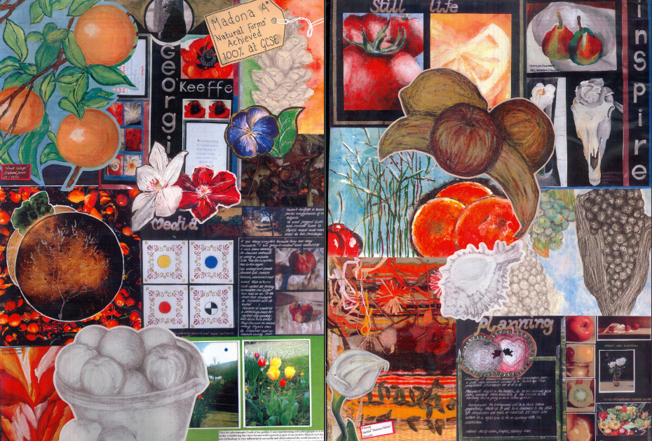 My Teaching Sketchbook GCSE, Natural forms and Pop art units