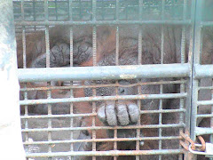 Malabon Zoo, Phillipines