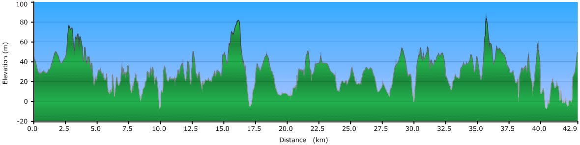 Elevation Profile of Sepang Jamboree 2010 Trail Route