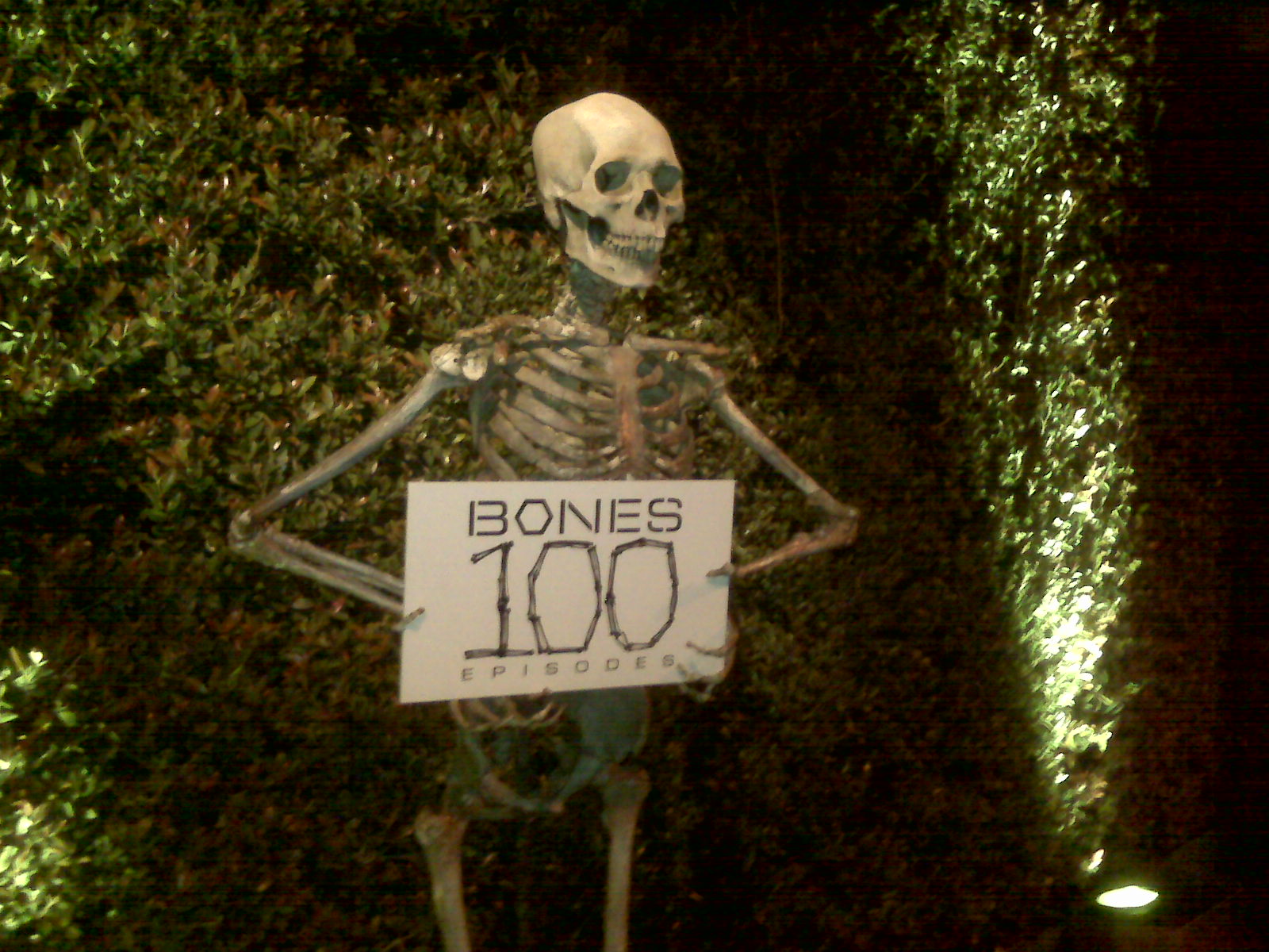 noel liftin bones