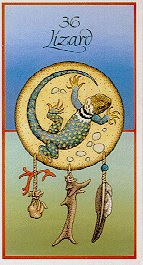 [lizard.jpg]