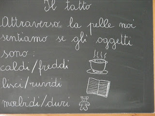 Scienze Il Tatto