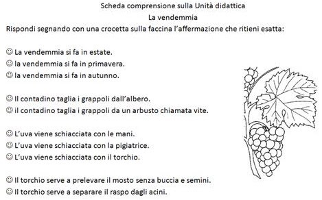 Scheda comprensione sulla Vendemmia