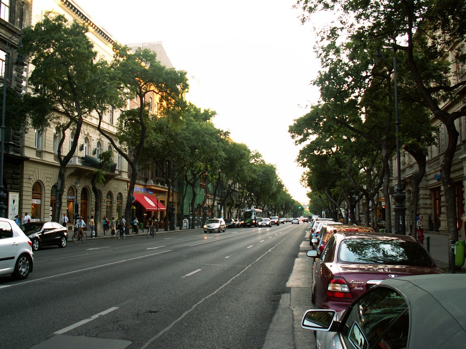 [PICT0961.JPG]