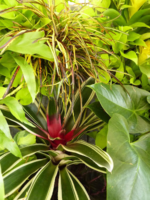 Plants On Walls vertical garden systems: June 2010