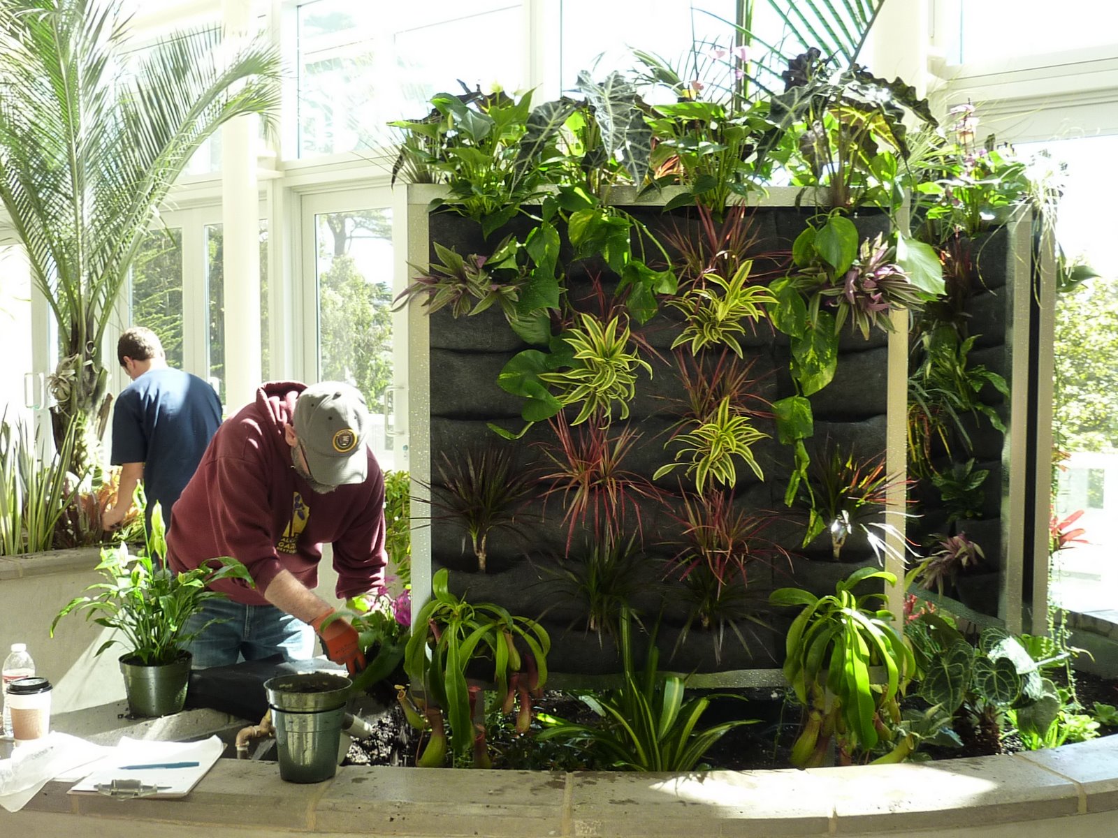 Plants On Walls vertical garden systems: June 2010