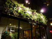 #2 Vertical Garden Ideas