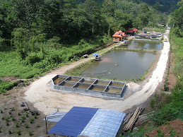 Pandangan Keseluruhan - 22 Nov 2008