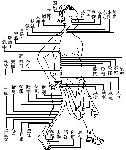 [è¶³é™½æ˜Žèƒƒç¶“åœ–.gif]