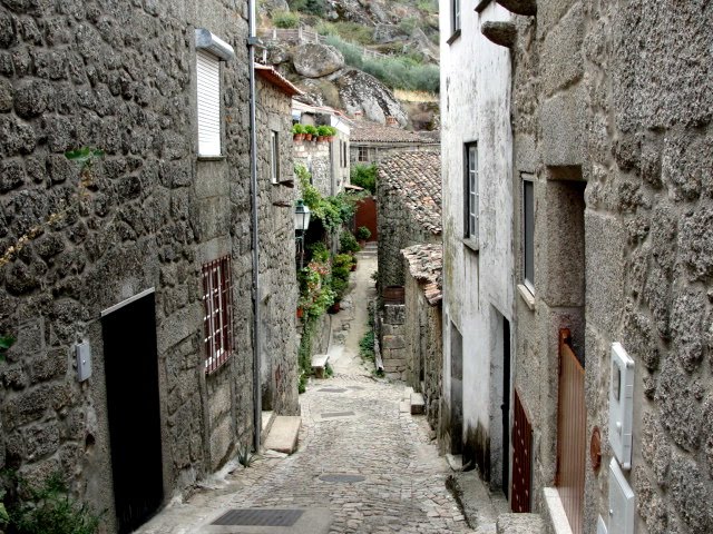 [DSC00740.JPG]