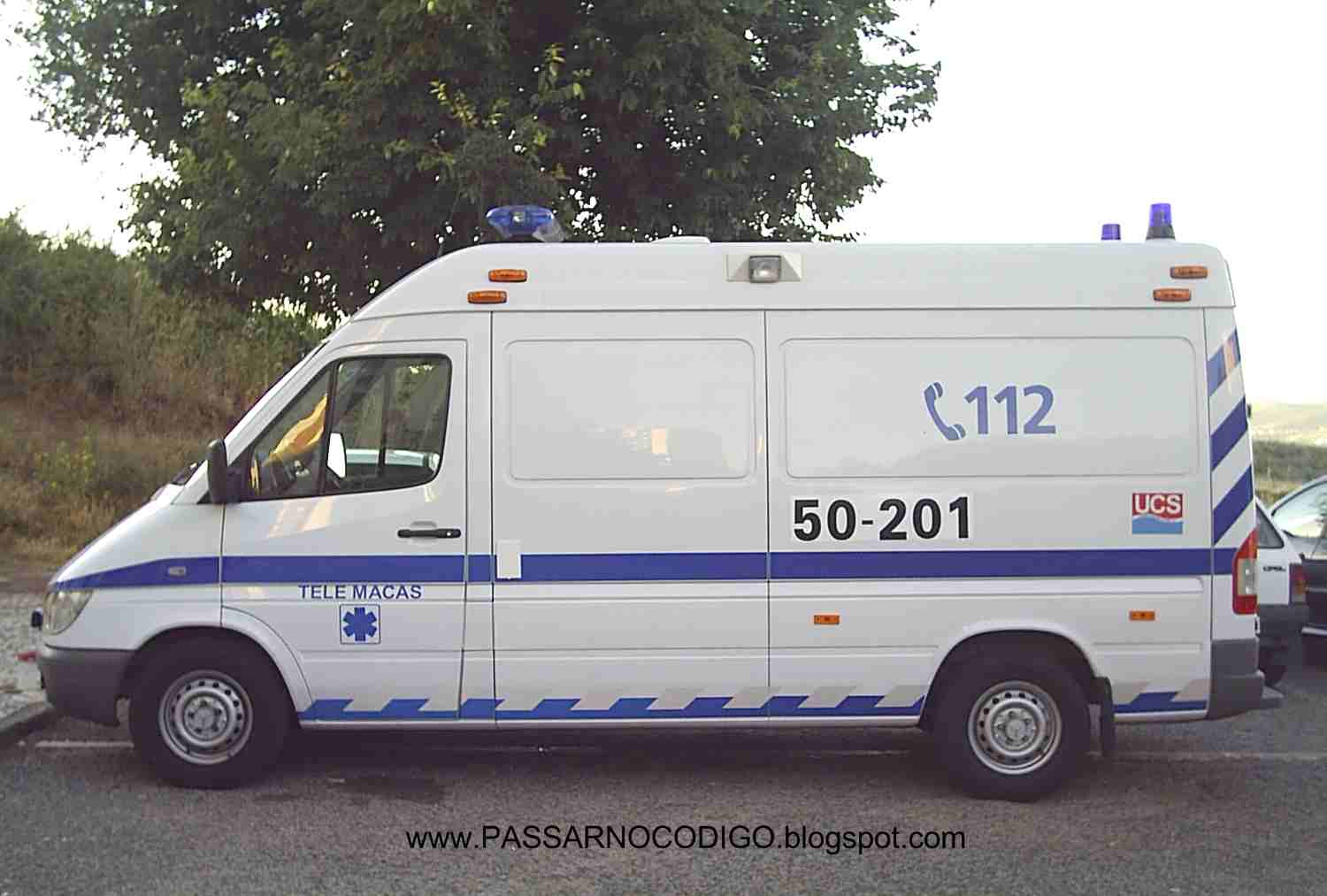 [S2020687m.jpg]