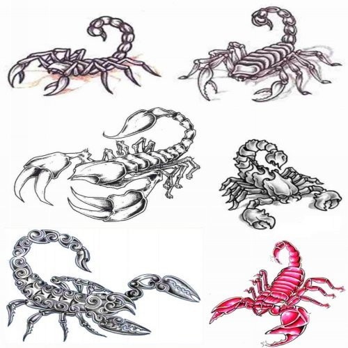 Many people choose to get scorpion tattoos for several reasons.