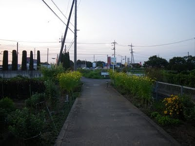 さいたま栗橋線手前