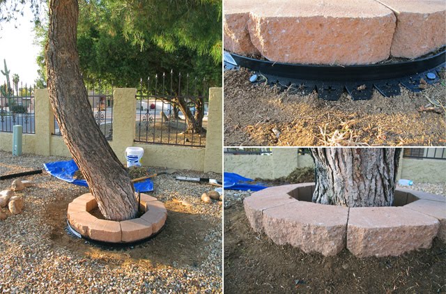 Love, Sweat and Tears: Building a Tree Ring
