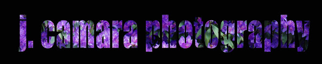 j Camara Contact Info