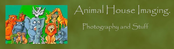 Animal House Imaging