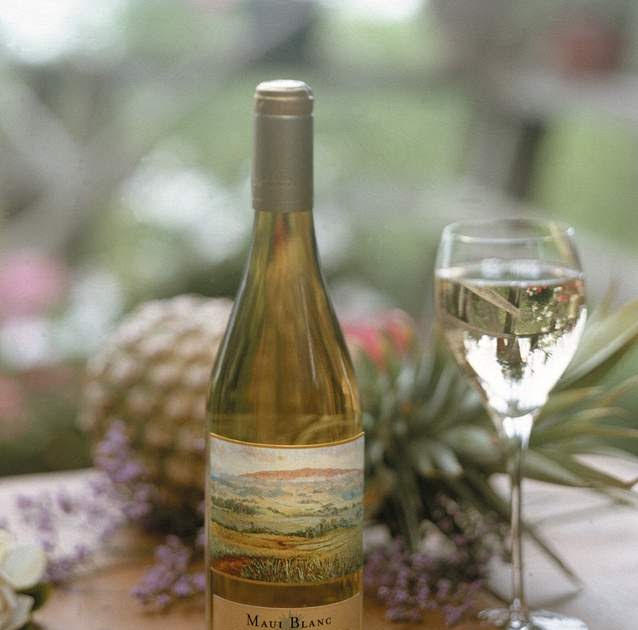 HOW TO MAKE WINE AT HOME A NEW RECIPE ABOUT PINEAPPLE WINE