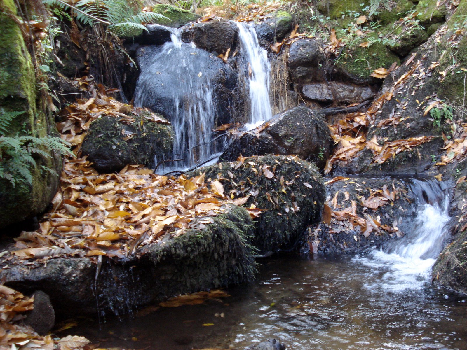 [DSC00673.JPG]
