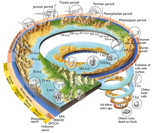 Geologi Makassar Penentuan Waktu Geologi