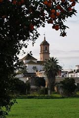 VILLAMANRIQUE ENTRE NARANJOS