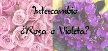 Inter rosa-violeta