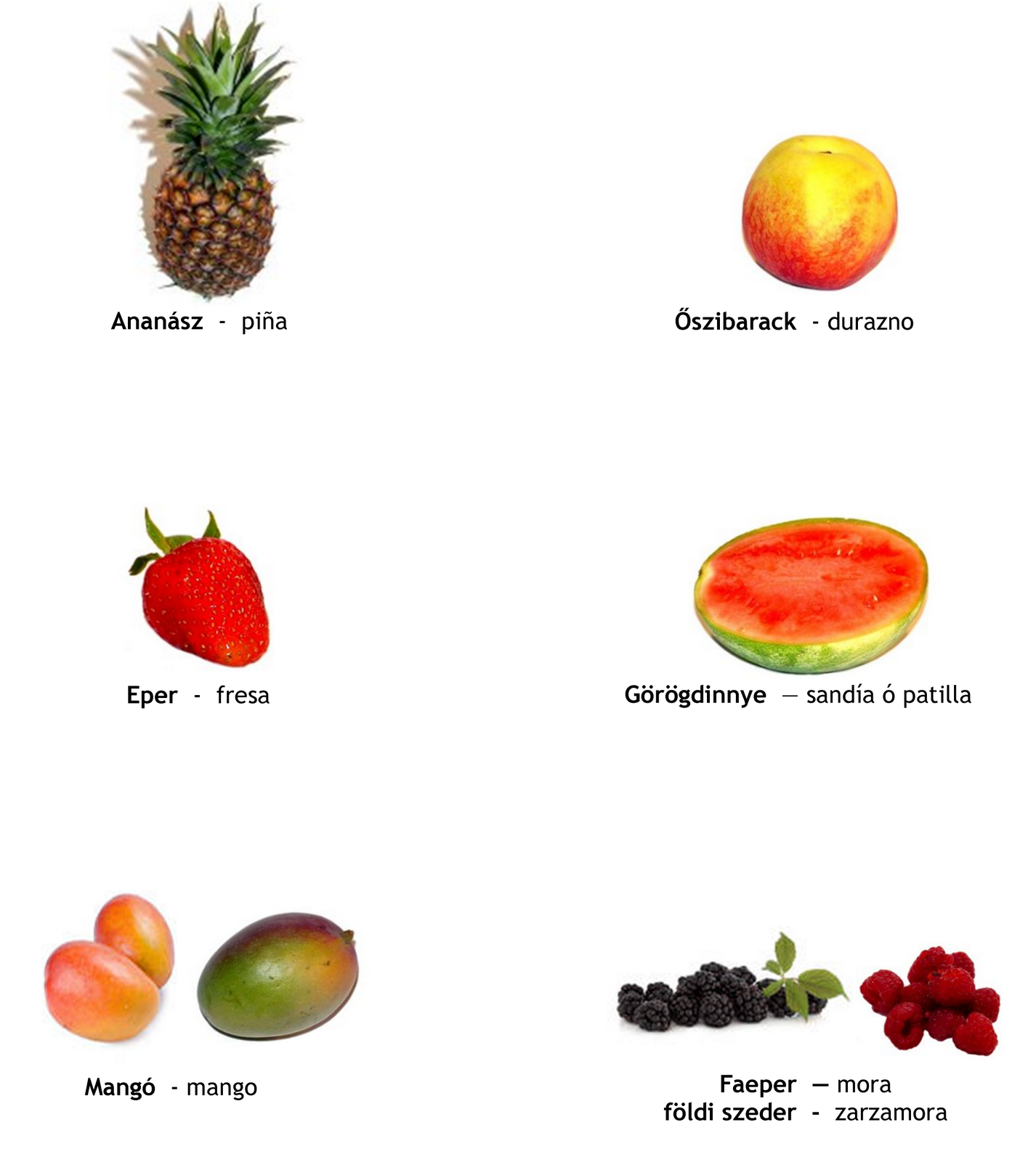 Lista 101+ Foto Lista De Frutas En Ingles Y Español Cena Hermosa