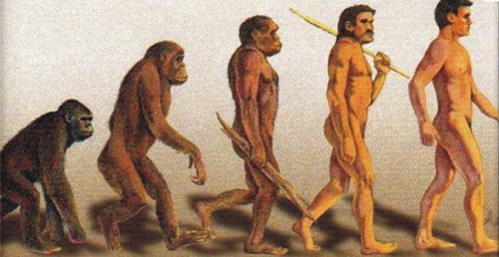 8081-la-evolucion-de-las--especies-embiste-contra-el-fijismo-creacionista--500x300.jpg