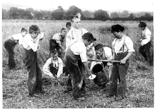 thesis on migrant child labour Pros and cons of child labour thesis child labour can lead to children being taught how to become productive migrant farm work. thesis on migrant child labour Pros and cons of child labour thesis child labour can lead to children being taught how to become productive migrant farm work.