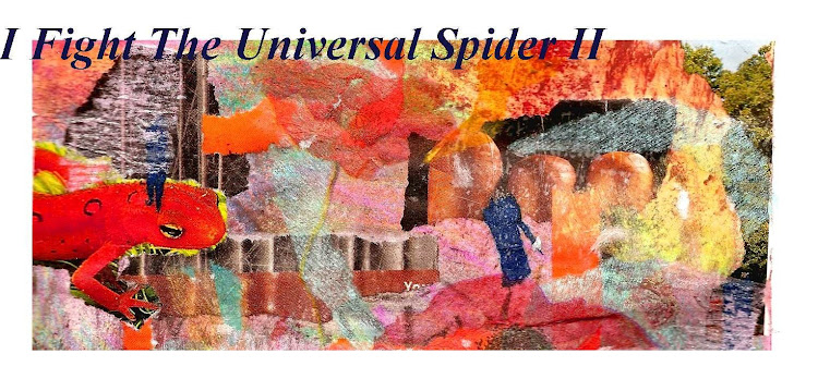 Fighting the Universal Spider Too